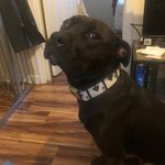 Steven Buehler - @buehler_steven - Instagram