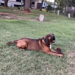 Steven Bundy - @bundy21steve - Instagram