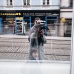Steven Bunger - @stevenbunger - Instagram