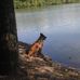 Steve Burcham - Facebook