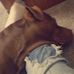 Steven Burcham - Facebook
