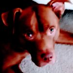 Steven matthew burcham - @stevenmatthewburcham - Instagram