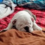 Steven Kenneth Black - @steven.burnell.52 - Instagram