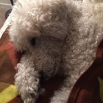 Steven Butts - @steven.butts - Instagram