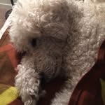Steven Butts - @steven.butts - Instagram