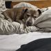 Steven Bye - Facebook