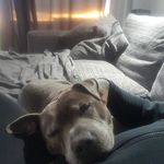 Steven Bye - @steven.bye - Instagram