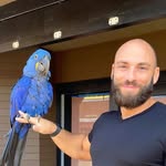 Steven Cable - @stevencable_ - Instagram