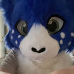 Frederick Steven Cairo II - @camthejackrabbit - Instagram