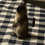 Steven Cane - @steve.0809 - Instagram