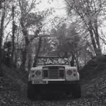 Steven Cann - @stevenlcann - Instagram