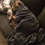 Steven Cann - @steven.cann - Instagram