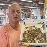 Steve Carbone - @henchenatcarbones - Instagram