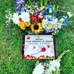 steven - @steven_carbonel - Instagram