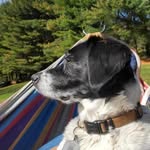 Steven Carper - @stevencarper1 - Instagram