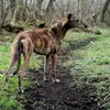 Steven Carruthers923 - @happybfeet000005 - TikTok