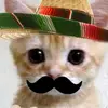 watchmecluch1 - @stevencasares88 - TikTok