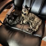 Steve Caswell - @scazman7 - Instagram