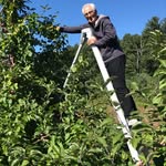 Steve Cavallo - @steve.cavallo - Instagram