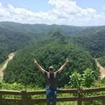 Steve M. Cavallo - @that.horse.cavallo - Instagram