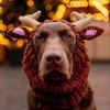 Steven_Cave_nyc - @steven_cave_nyc - TikTok