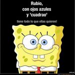 Steven Cedillo Fuentes - @stevencedillofuentes - Instagram