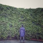 Steven ‘Champ’ Wang - @stevenwang717 - Instagram