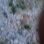 Steven Channer - @steven.channer - Instagram