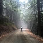 Steve Chapin - @stevechapin - Instagram