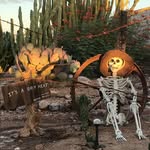 Steven Chapin - @stevenchapin - Instagram
