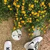 steven.chapin - @steven.chapin - TikTok