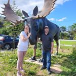 Steven Charest - @busard666 - Instagram