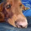 Steven Charney - @steven.charney - TikTok