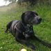 Steve Chatburn - Facebook