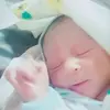 Steven Chavarria - @stevenchavarria0 - TikTok