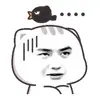Steven Chen - @steven.chen96 - TikTok