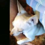 Steven Chenoweth - @steven.chenoweth.21 - Instagram