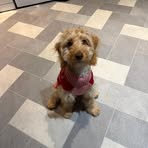 Stephen Cheshire - Facebook