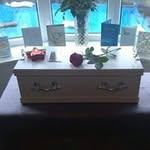 Steve Cheshire - @cheshiresteve - Instagram