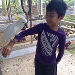 Steven Chiang - @chiang451 - Instagram
