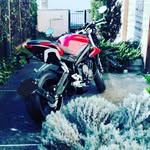 Steven Joey Chiang - @stevenmourgues - Instagram