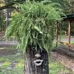 Steve Chism - @treebeardtex - Instagram