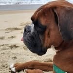 Steven Chismar - @stevenchismar - Instagram