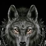 Steven Chismon - @stevenchismon - Instagram