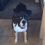 Steve Christopherson - @steve.christopherson - Instagram