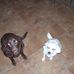 Steven Cipolla - Facebook