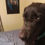 Steven _Clarkson - @steven_clarkson09 - Instagram