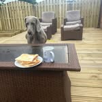 Steven Clarkson - @clarkson6629 - Instagram