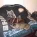 Steve Clinton - Facebook