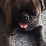 Steven Coggins Senior - @sacoggins.sc - Instagram